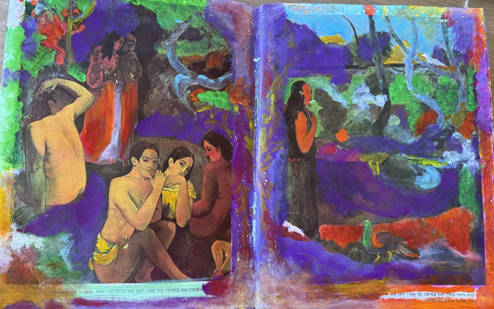 04 - כיסי שמש של קיץ (IMG_5798)